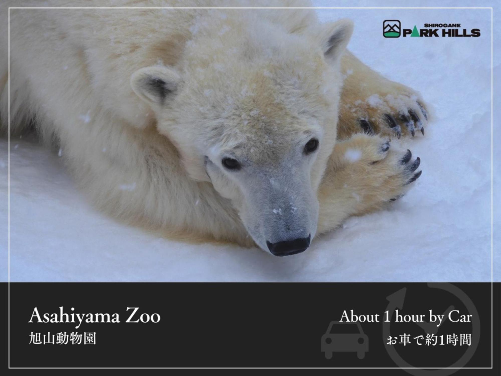 Biei Shirogane Onsen Hotel Park Hills Bagian luar foto